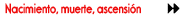 gramatica