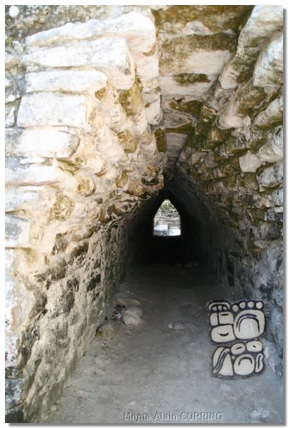 coba_004.jpg