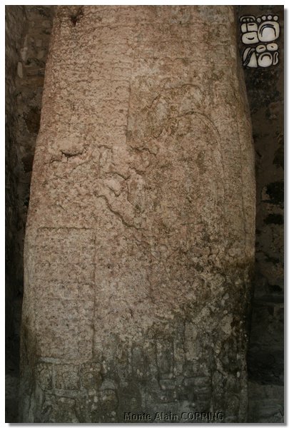 coba_012.jpg