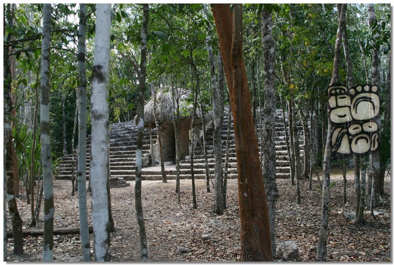 coba_013.jpg