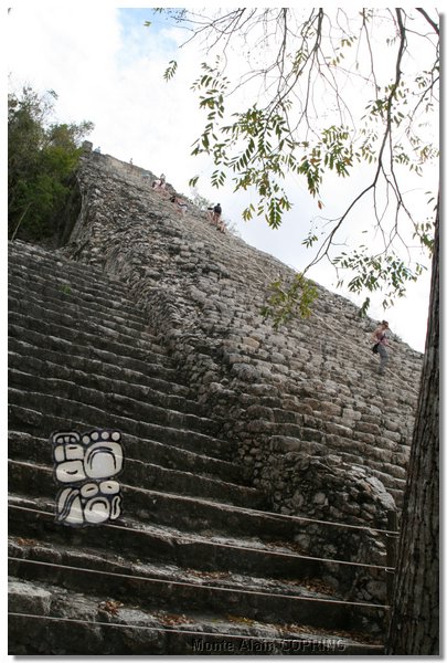 coba_018.jpg