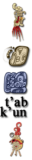 kun te