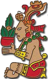 maiz dieu