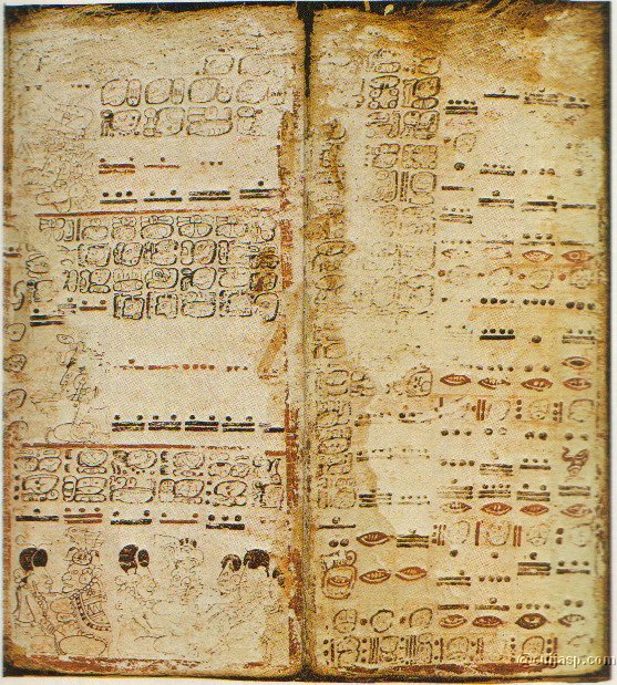 page13.jpg